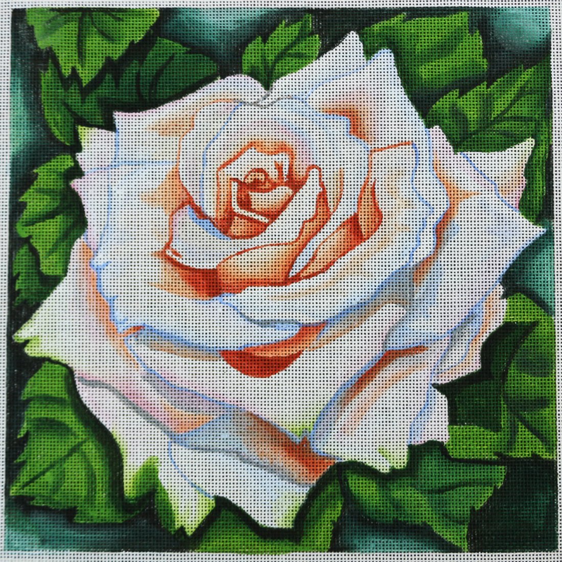 White Rose