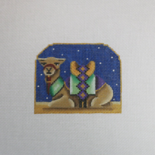 Green Camel - Sky Nativity
