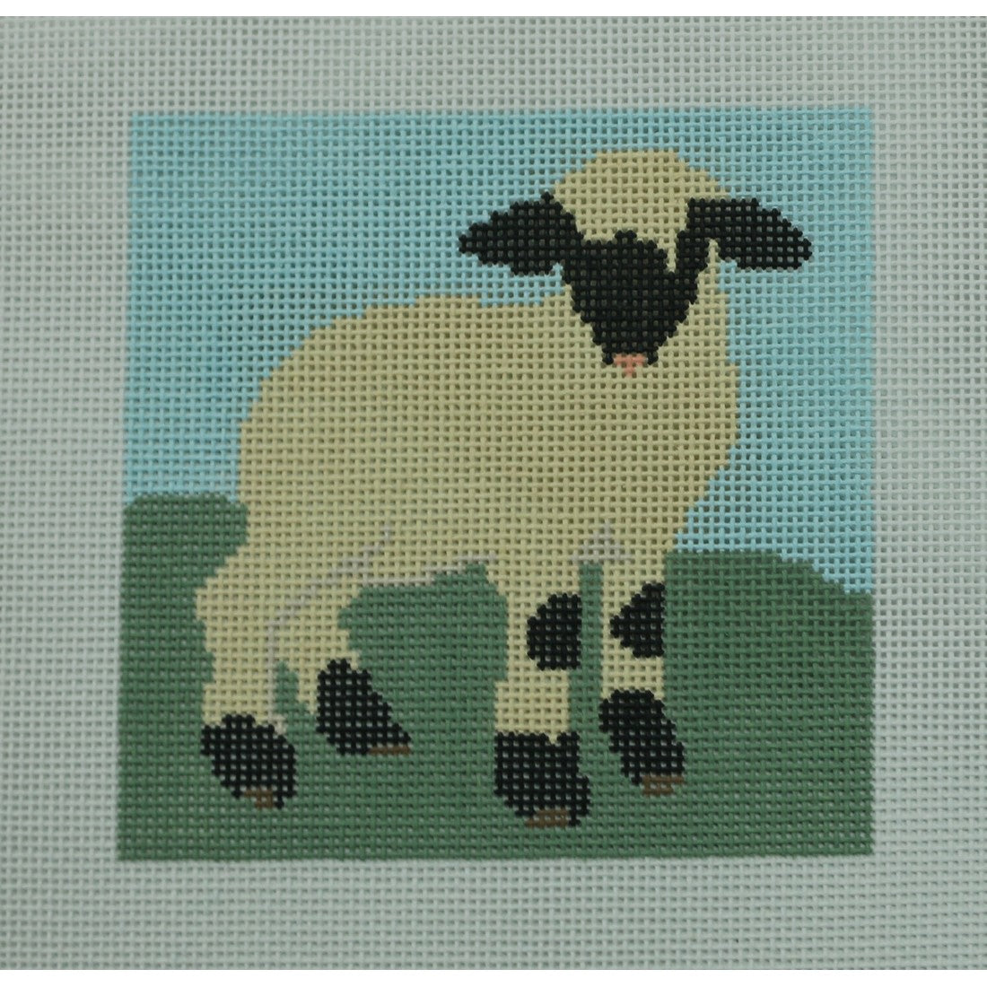 Single Sheep