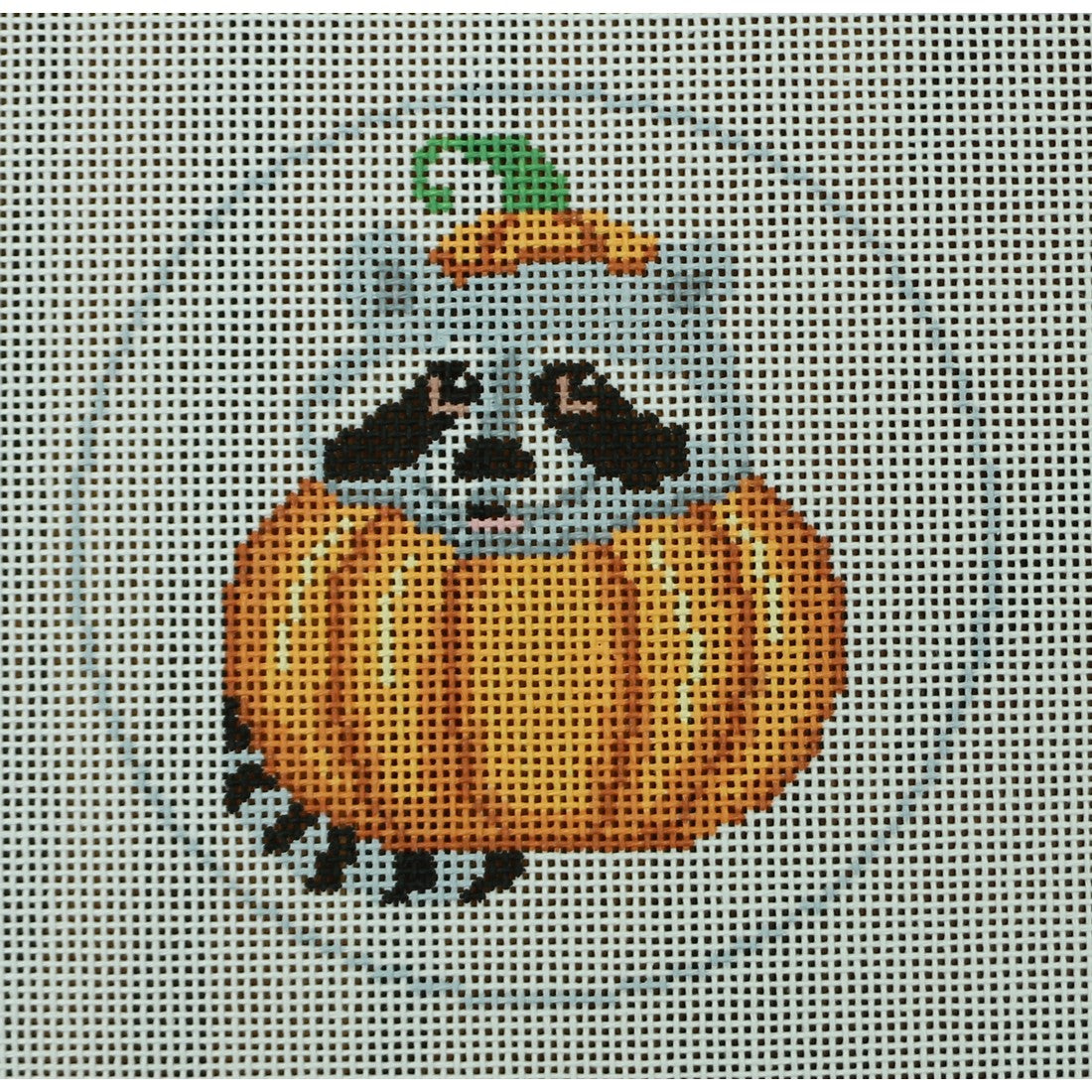 Raccoon Pumpkin