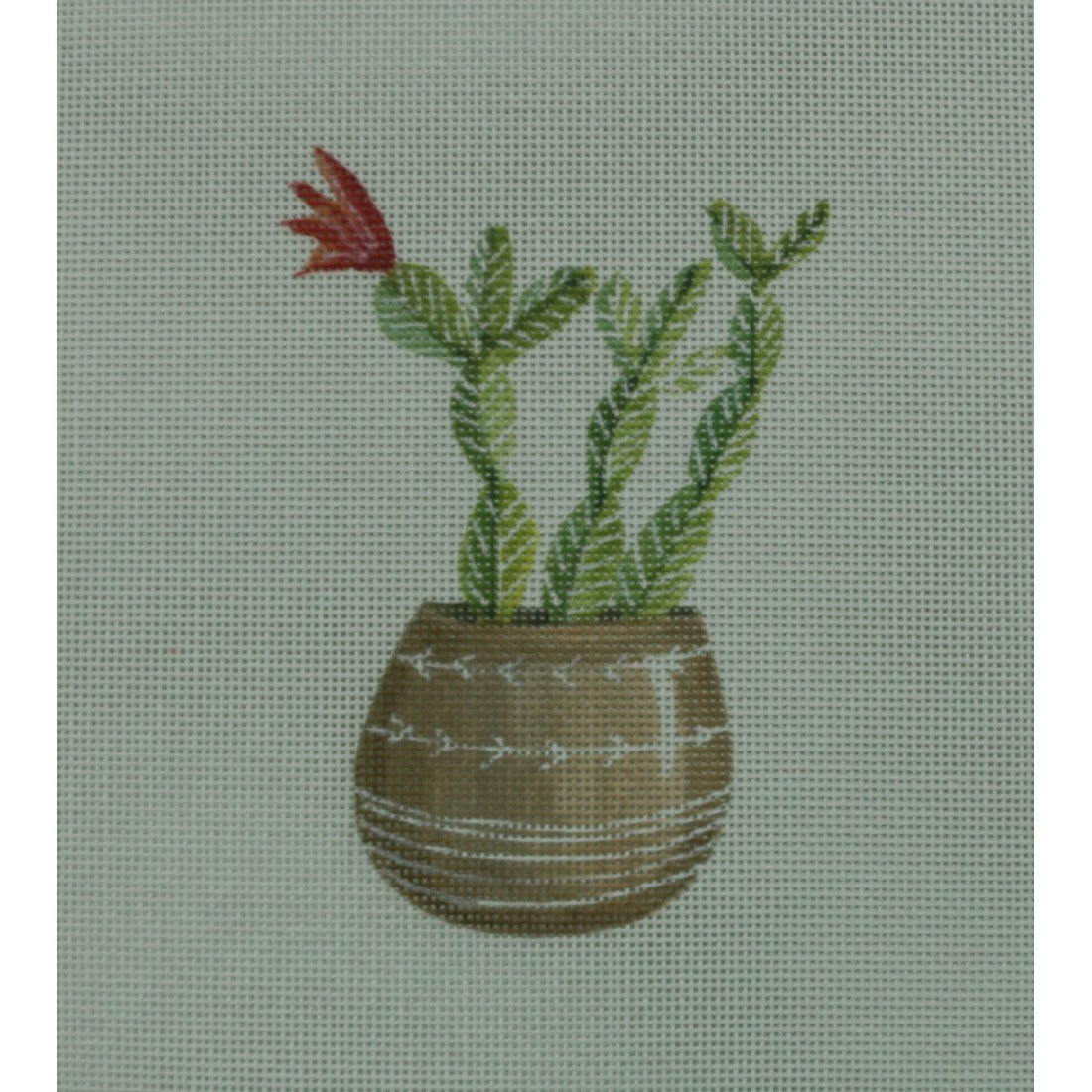 Cactus with Flower on Left