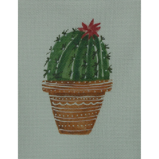 Cactus with Flower Top