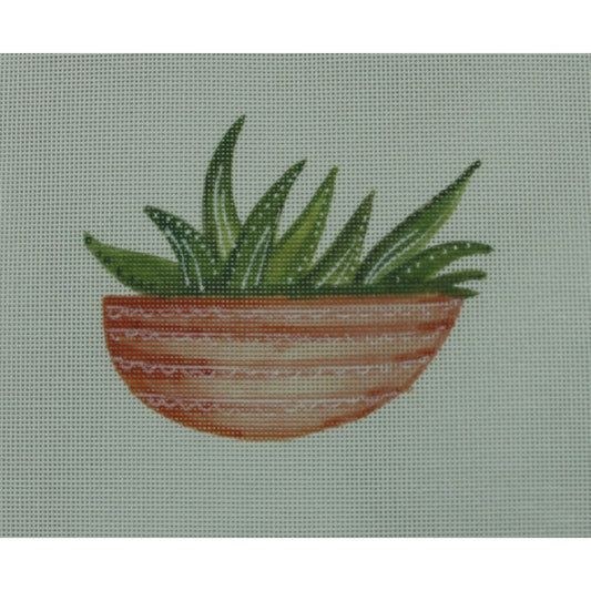 Cactus Long Pot