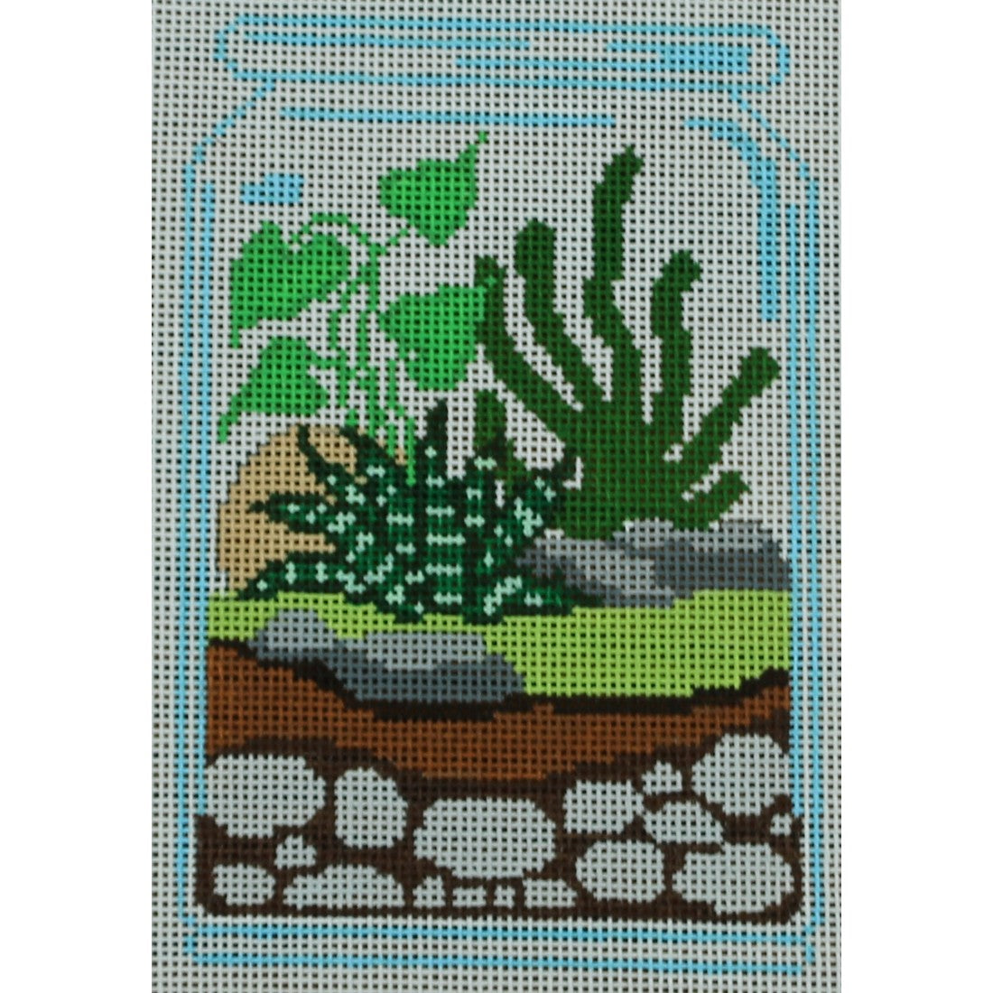 Plant Terrarium