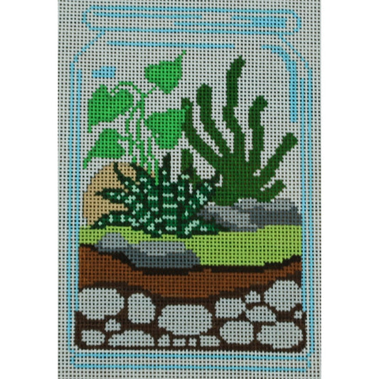 Plant Terrarium