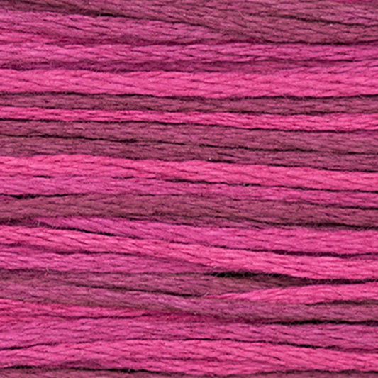 Weeks Dye Works Floss Blackberry