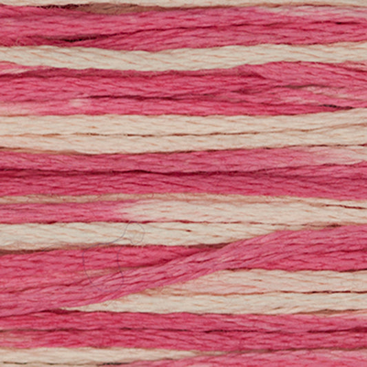 Weeks Dye Works Floss Cherry Vanilla