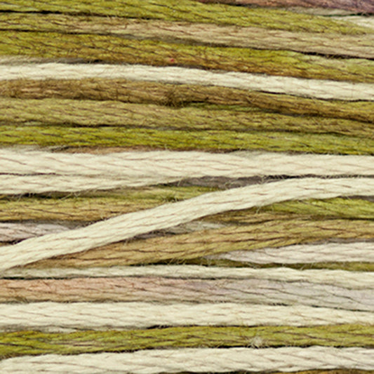 Weeks Dye Works Floss Latte