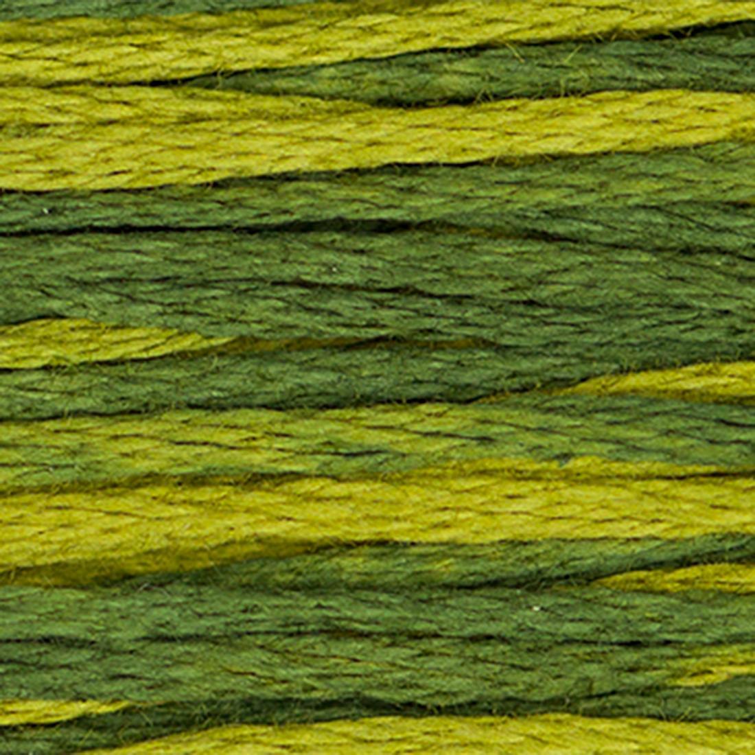 Weeks Dye Works Floss Bullfrog
