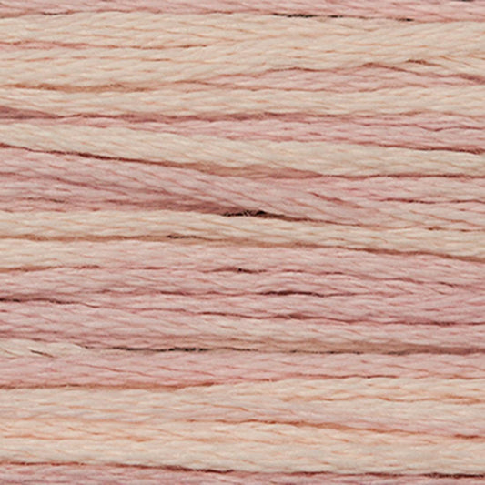 Weeks Dye Works Floss Chablis