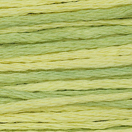 Weeks Dye Works Floss Citronella