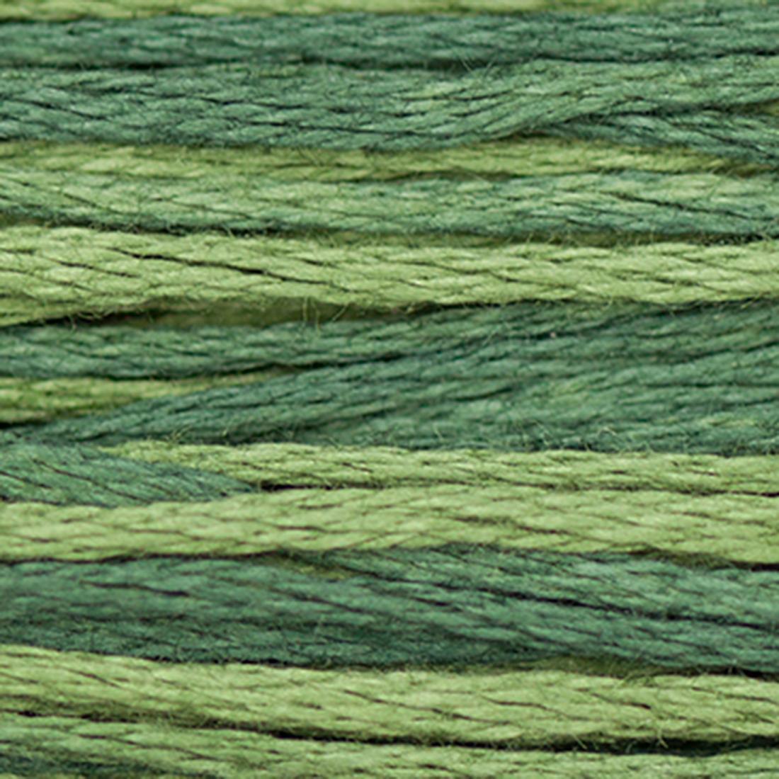Weeks Dye Works Floss Collards