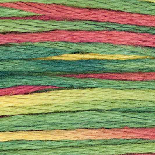 Weeks Dye Works Floss Noel