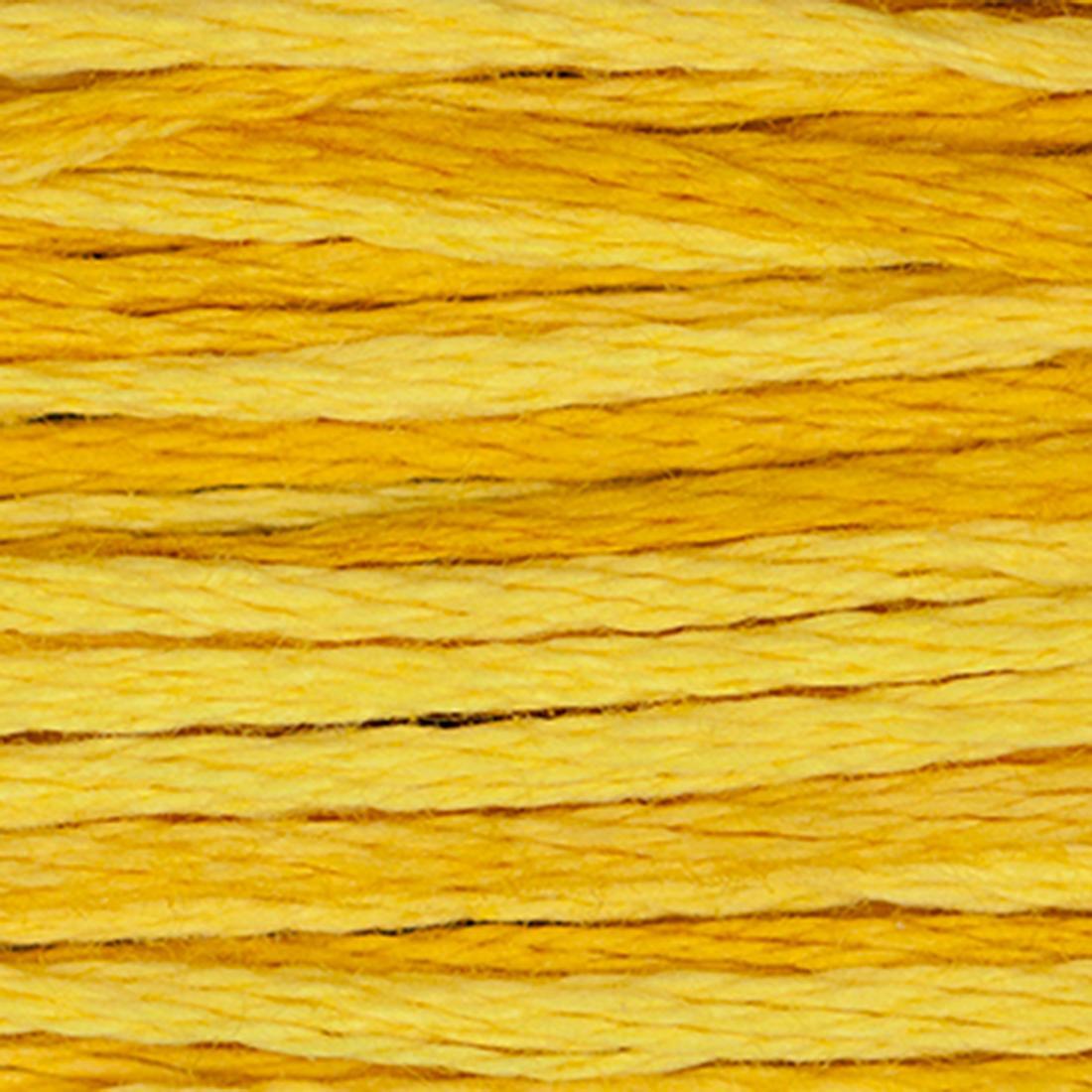 Weeks Dye Works Floss Squash – Pocket Full of Stitches