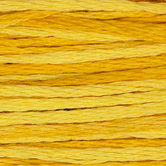 Weeks Dye Works Floss Squash