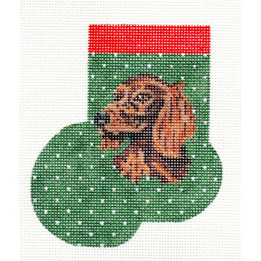 Irish Setter or Long Haired Dachshund