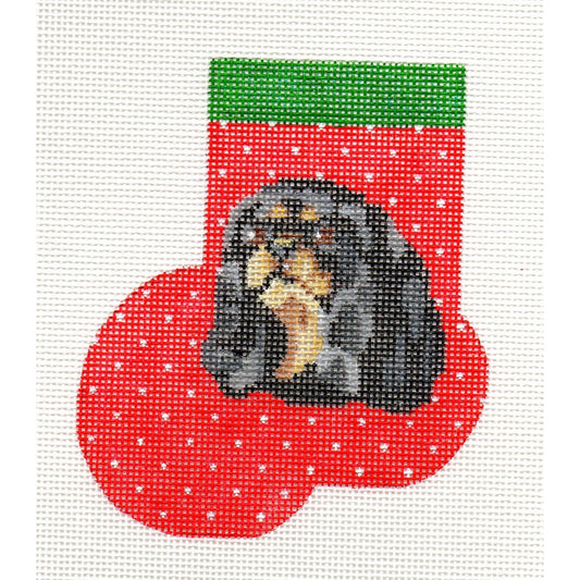 King Charles Cavalier, Black & Tan