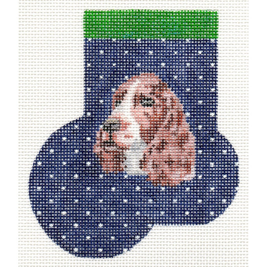 English Springer Spaniel