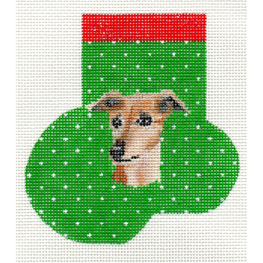 Whippet or Italian Greyhound