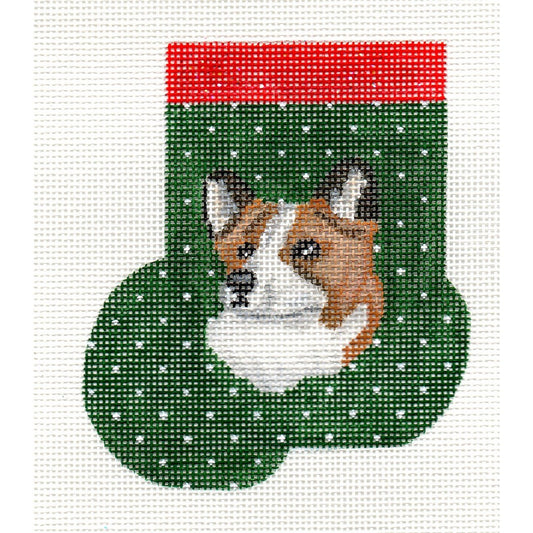 Cardigan Welsh Corgi