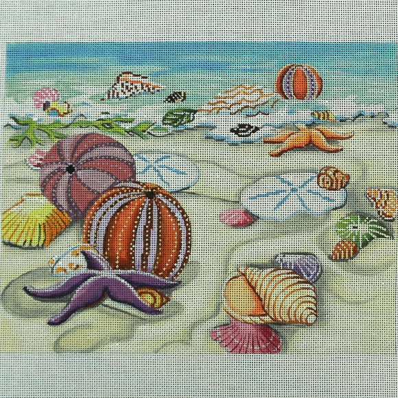 Seashells on Shore