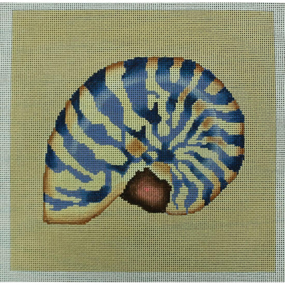Nautilus Shell, Beige/Blue