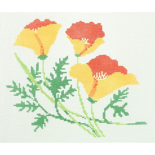 California Poppy