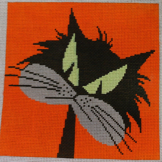 Black Cat on Orange