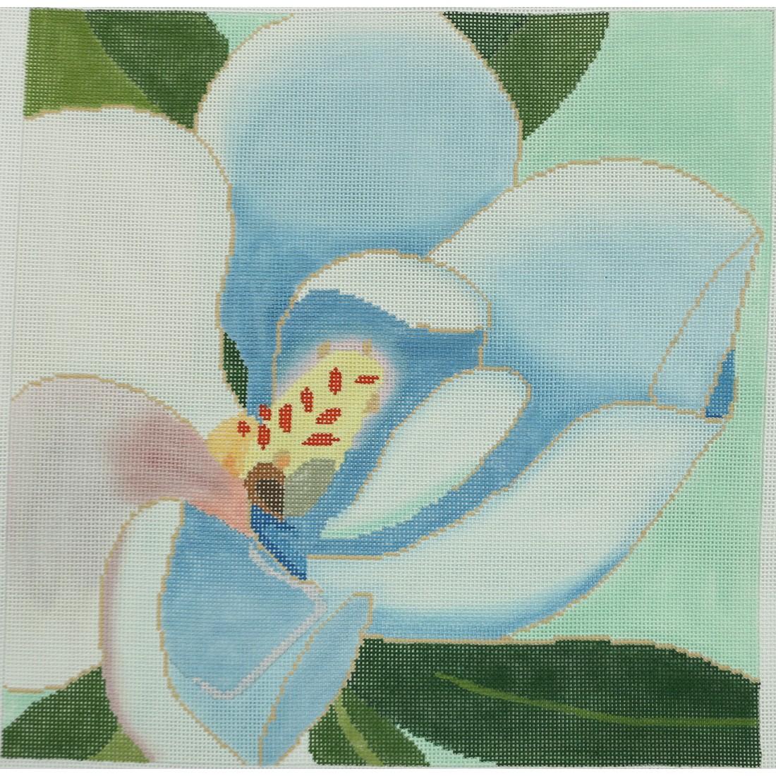 Magnolia