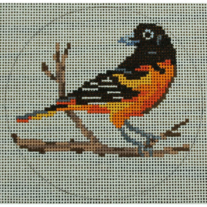 Baltimore Oriole