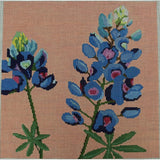 Bluebonnets