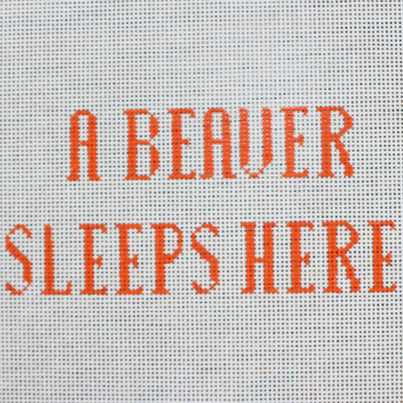 A Beaver Sleeps Here