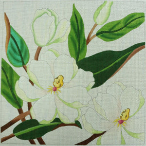 Magnolia