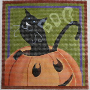 Boo, Cat in Pumpkin
