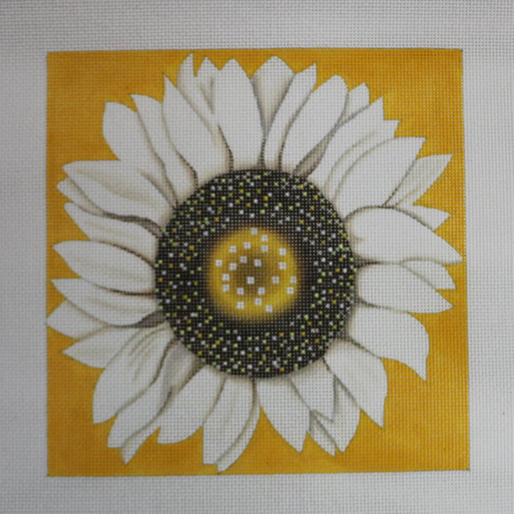 White Sunflower on Yellow