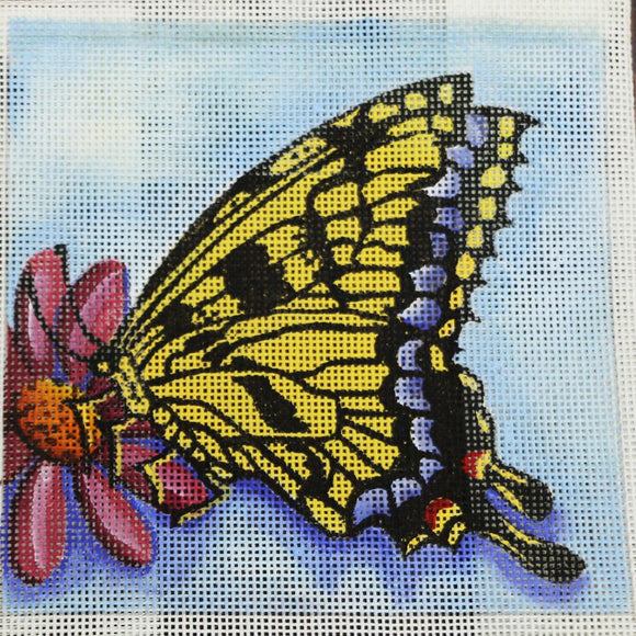 Yellow/Blue/Black Butterfly