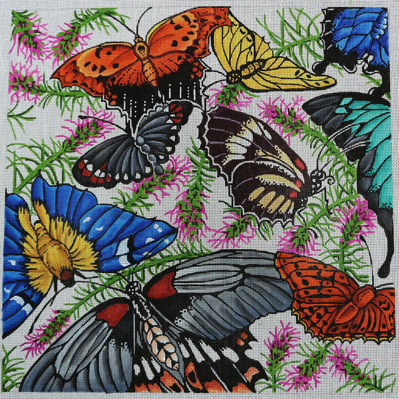 Butterfly Collection