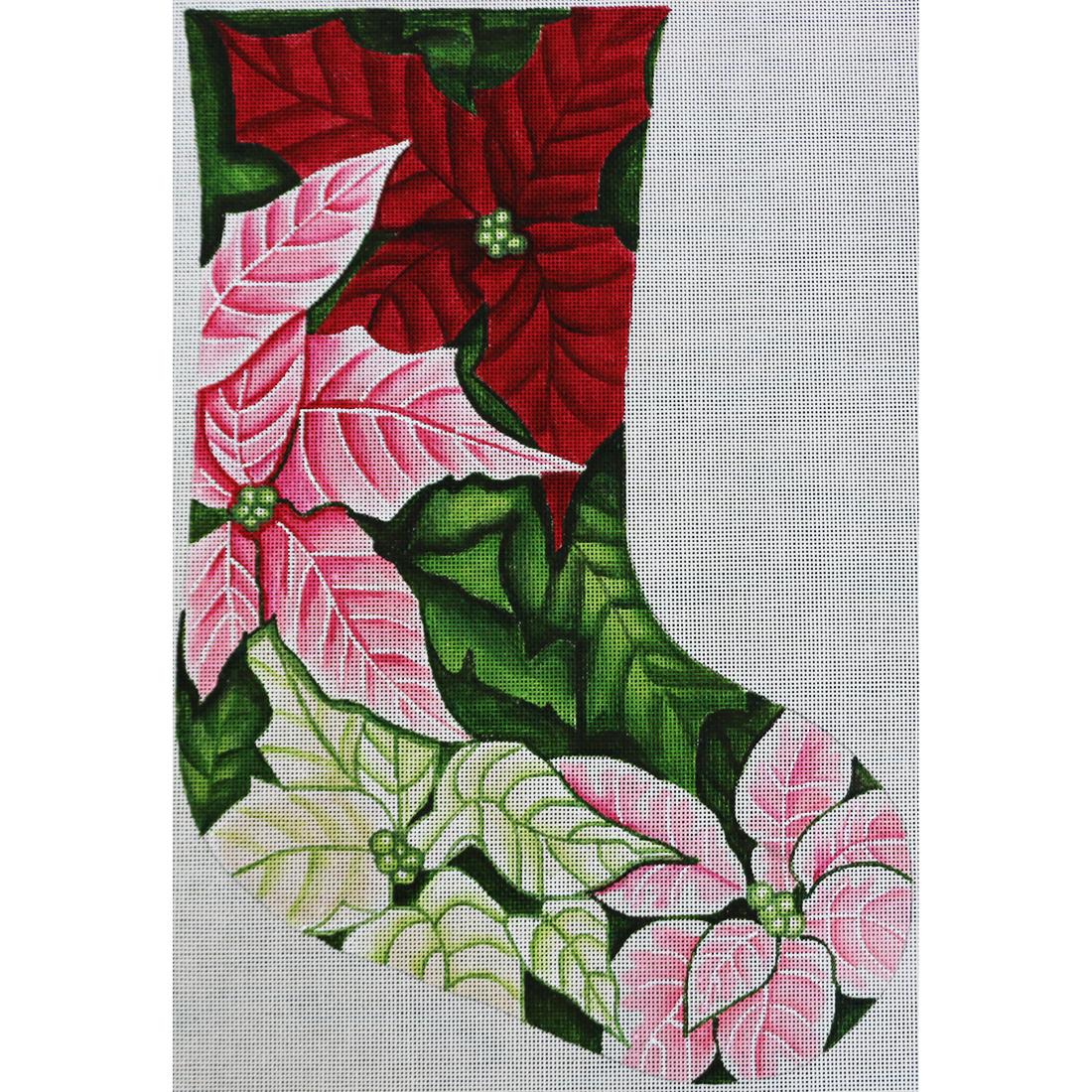 Multi Color Poinsettia