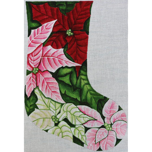 Multi Color Poinsettia
