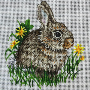 Bunny with dandelions