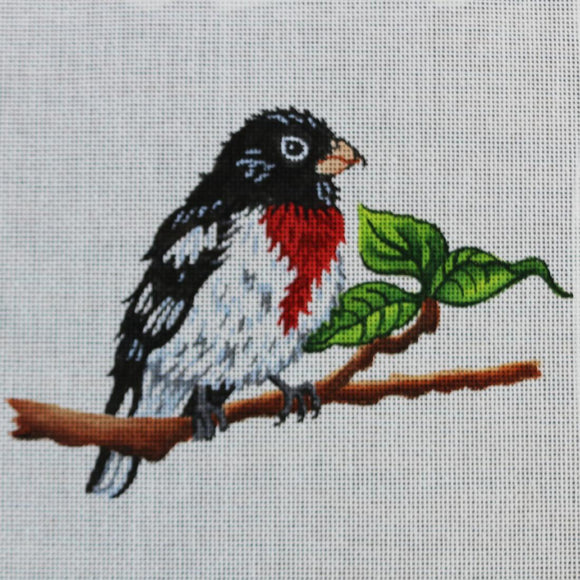 Rose-Breasted Grosbeak