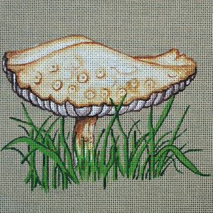 Mushroom