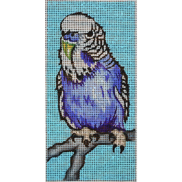 Blue and White Parrot
