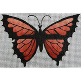 Orange and Black Butterfly