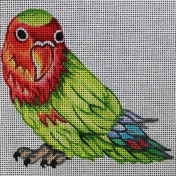 Green Parrot, Red Head