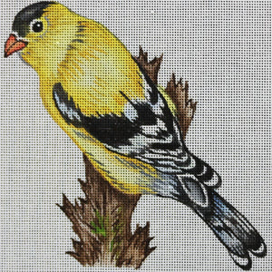 Yellow and Black Bird