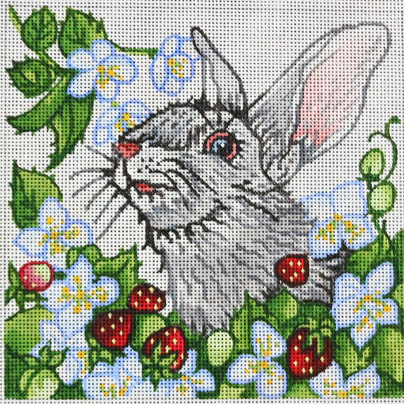 White Bunny, Strawberry Field