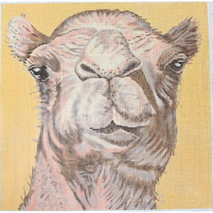 Camel