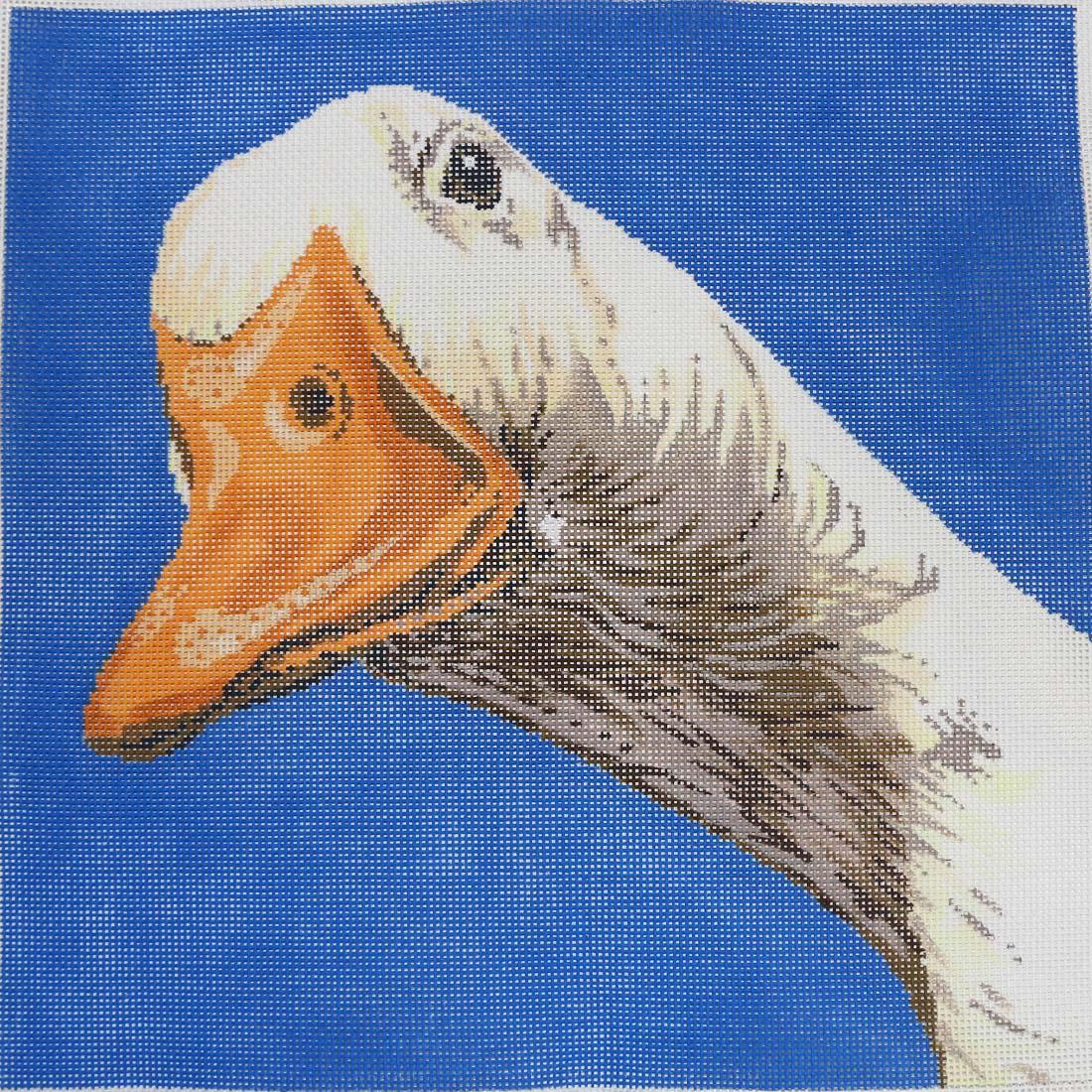 Duck on Blue