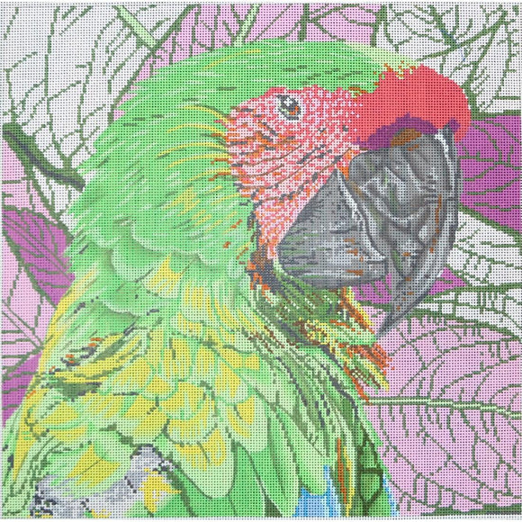Parrot Buffon/Green Macaw